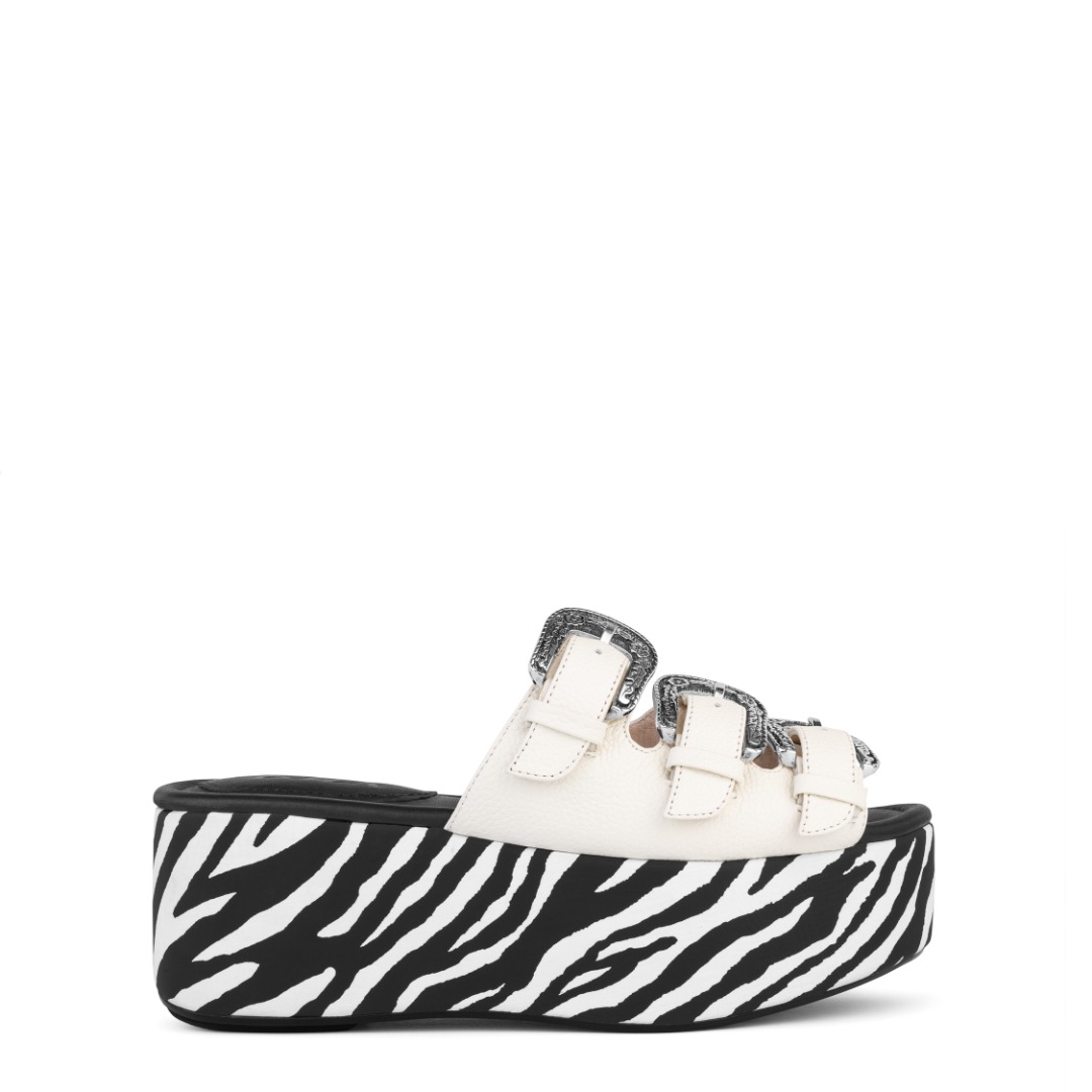 ESTHER ZEBRA